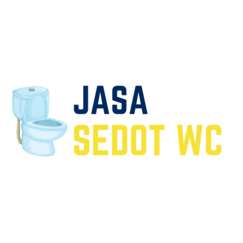 Sedot WC Mampet  di Sorong Timur